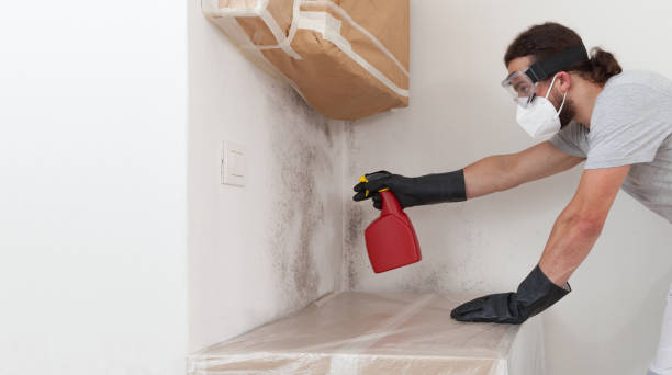 Professional Crawl Space Mold Remediation technician working in Oak Hall, VA
