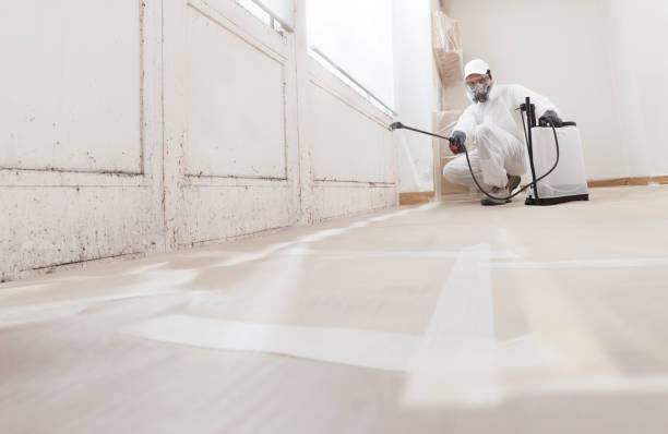 24/7 Emergency Crawl Space Mold Remediation experts in Oak Hall, VA