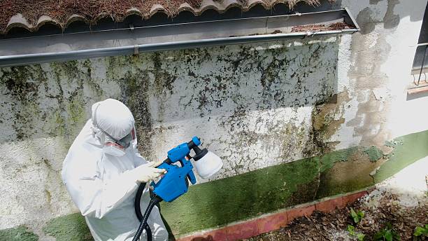 Top rated local Crawl Space Mold Remediation specialists in Oak Hall, VA